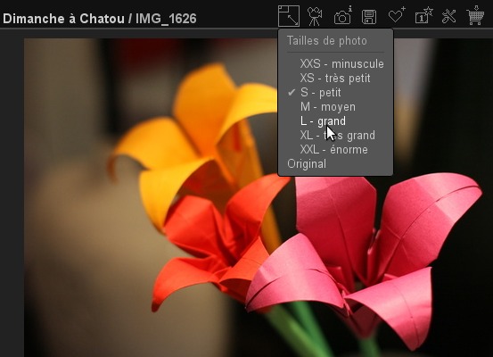 Les tailles multiples de Piwigo 2.4 permettent de choisir quelle taille de photo afficher, en fonction de la taille de votre écran